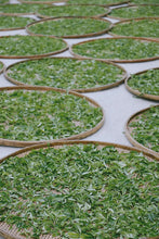 Load image into Gallery viewer, 2023 Song Zhong from the 200-year-old DaAn Ancient Tea Garden.