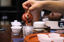 Load image into Gallery viewer, Guangdong Fenghuang Dancong ancient trees "Dai Zhao Tea"