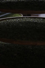 Load image into Gallery viewer, 2024 Phoenix Dancong Limited Edition "Ancient Tree Dong Fang Hong "