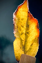 Load image into Gallery viewer, Tongxin She Teahouse 2025 Limited Launch | Handmade Bai Jiguan by Gao Peng and His Mother, A Cup Holds the Elegance of Wuyi白鸡冠。