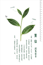Load image into Gallery viewer, Exploring Huang Dan: A Unique Gem in Wuyi Rock Tea