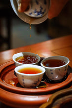 Load image into Gallery viewer, 2020 Wuyi Rock Tea "Yu Hua Dong Lao Cong Shui Xian"