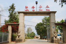 Load image into Gallery viewer, 1998 Menghai Tea Factory Customized: Puer Shu Teasancha