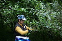 Load image into Gallery viewer, 2024 Discovering the Allure of Beidou: A Hidden Gem in Wuyi Rock Tea