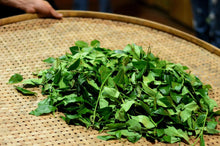 Load image into Gallery viewer, 2024 The Yanyun Qilan: The Tea Aroma and Elegance Condensed by Time