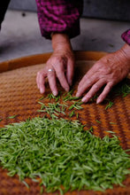 Load image into Gallery viewer, 2025 Wuyishan Tongmu Guan Floral Jinjunmei Black Tea Arrives at Tongxinshe Teahouse! Inviting You to Taste the Essence of Black Tea