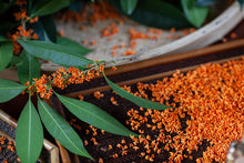 Load image into Gallery viewer, 2023 "Osmanthus Black Tea"/桂花红茶