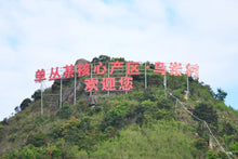 Load image into Gallery viewer, Guangdong Oolong Tea Phoenix Dancong "Brothers Tea"/兄弟仔。