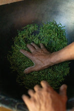 Load image into Gallery viewer, Tongxin She Teahouse | 2026 Premium West Lake Longjing Pre-sale,Baihefeng Yuantoumen: The Hidden Spirit of Jiangnan’s Spring Mountains