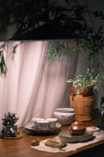 Load image into Gallery viewer, 2023 Wuyi Rock Tea "Qi Dan"