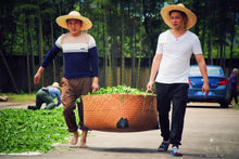 Load image into Gallery viewer, Floral Dahongpao/花香大红袍