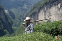 Load image into Gallery viewer, 2024 Discovering the Allure of Beidou: A Hidden Gem in Wuyi Rock Tea