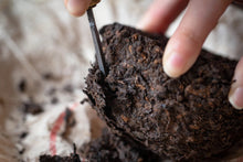 Load image into Gallery viewer, 2003 high-grade Tuocha (Shu Puer) from China Tea