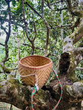 Load image into Gallery viewer, Tongxin She Teahouse's Treasured Recommendation: 2017 Naka Ancient Tree Single-Plant Raw Pu'er Tea
