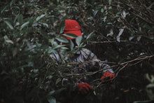 Load image into Gallery viewer, The Beauty of Simplicity and Tranquility in Feizixiao —— Tongxin She Teahouse's Newly Launched 2025 Tongmuguan Black Tea Feizixiao