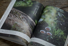 Load image into Gallery viewer, Wuyi Rock Tea Small Varieties: Tuberose Aroma./夜来香岩茶.