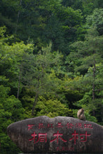 Load image into Gallery viewer, Tongxin She Teahouse Launches New Wuyi Tongmuguan "Peach-Flavored Black Tea"蜜桃红茶