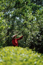 Load image into Gallery viewer, New Product Launch | Handmade by Intangible Cultural Heritage Inheritor Wang Guoxing, 2025 Matouyan Rougui "Horse Meat" Makes a Grand Debut 马头岩肉桂