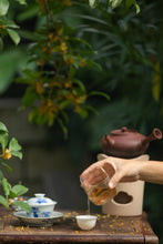 Load image into Gallery viewer, A Ruby Hue Holds Autumn's Essence: Tongxinshe Teahouse Presents Limited-Edition "Jiuqu Hongmei" for Autumn 九曲红梅