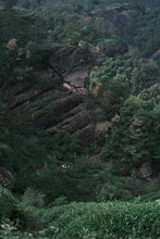 Load image into Gallery viewer, Ma Tou Yan Mei Zhan: A Distinctive Allure Amidst the Rocky Essence and Floral Aroma