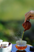 Load image into Gallery viewer, Exploring the Secret of Wuyi: Tongxinshe Teahouse Recommends the Niche Treasure "Lotus Peak Huang Qi"莲花峰黄奇