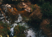 Load image into Gallery viewer, 2023 Hui Yuan Keng Lu Xiu Centennial Lao Cong Shui Xian.