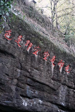 Load image into Gallery viewer, Tongxinshe Teahouse 2025: "Liulanxiang" – Rare Premium Wuyi Rock Tea from Core Cliff Terroir 留兰香
