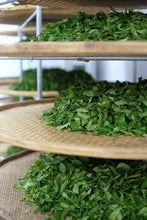 Load image into Gallery viewer, Guangdong Fenghuang Dancong ancient trees "Dai Zhao Tea"