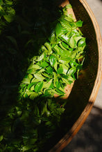 Load image into Gallery viewer, Tongxinshe Teahouse 2025 Phoenix Dancong Wukui Aofuhou is here!