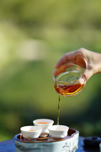 Load image into Gallery viewer, Exploring the Secret of Wuyi: Tongxinshe Teahouse Recommends the Niche Treasure "Lotus Peak Huang Qi"莲花峰黄奇