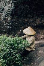 Load image into Gallery viewer, 2024 Tao Xi Da Hong Pao (Peach Fragrance Da Hong Pao)桃喜大红袍。