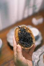 Load image into Gallery viewer, Phoenix Dancong Ancient Tree WuDong "Yan Shang Zhen/Rock Treasure/岩上珍"