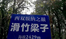 Load image into Gallery viewer, The wild charm of the mountains at the top of Xishuangbanna—Single Pu'er sheng tea from the ancient tree Huazhuliangzi/滑竹梁子古树单株.