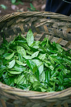 Load image into Gallery viewer, New Product Launch | Handmade by Intangible Cultural Heritage Inheritor Wang Guoxing, 2025 Matouyan Rougui "Horse Meat" Makes a Grand Debut 马头岩肉桂