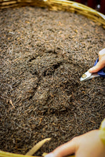 Load image into Gallery viewer, Tongxin She Teahouse | Tasting and Sharing of the 1994 Old Liubao Tea: The Warmth and Charm Precipitated by Time