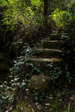 Load image into Gallery viewer, Hui Yuan Keng Shui Xian 2023/Choose the core production area of Zheng Yan, the water contains floral fragrance, and the rock rhyme is full