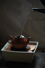 Load image into Gallery viewer, “SNOW FLAKES Duck Shit ”Phoenix Dan Cong oolong/“雪片鸭屎香”