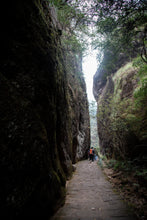 Load image into Gallery viewer, San Yang Feng Rou Gui/三仰峰肉桂