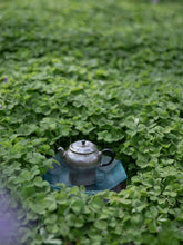 Load image into Gallery viewer, The Vernal Equinox Silver Teapot: Peeking into Spring through the Teapot, with Unique Ingenuity