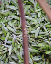 Load image into Gallery viewer, 2024 Fuding White Tea "Taimu Mountain Carbon Roasted Bai Hao Yin Zhen"