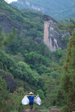 Load image into Gallery viewer, Tongxinshe Teahouse Limited Release | Explore the Century-Old Charm of Wuyi Rock Tea "White Peony" from Matouyan Shuidongkou 水洞口白牡丹