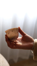 Load image into Gallery viewer, Jingdezhen hand-painted pastel swan gaiwan and teacup