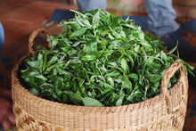 Load image into Gallery viewer, 2014 Bu Lang Yin Xiang Puer Sheng tea/布朗印象。