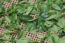 Load image into Gallery viewer, There is a kind of fragrance called osmanthus fragrance. 2025 Group Osmanthus Fragrance Single Cong Tea from Da'an