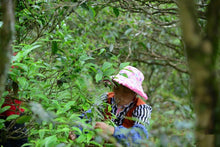 Load image into Gallery viewer, Phoenix Dancong tea - "Shemen"/輋门