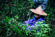 Load image into Gallery viewer, 2023 Jin Jiao Yi Shui Xian (金交椅水仙)