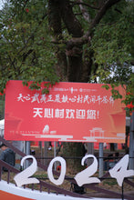 Load image into Gallery viewer, 2024 Wuyi Mountain Rock Tea - Su Xin Lan: The Elegant and Graceful Charm within the Rock-Bone and Floral Fragrance