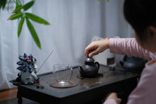 Load image into Gallery viewer, "Ancient tree Tuberose Fragrance dancong oolong".古树夜来香/Gu Shu Ye Lai Xiang.