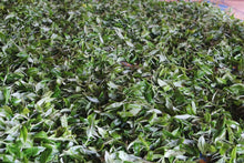 Load image into Gallery viewer, 2014 Bu Lang Yin Xiang Puer Sheng tea/布朗印象。
