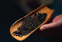 Load image into Gallery viewer, The Name of Da Hong Pao: A Taste of 2025 Pure Qidan from Tongxinshe Teahouse奇丹